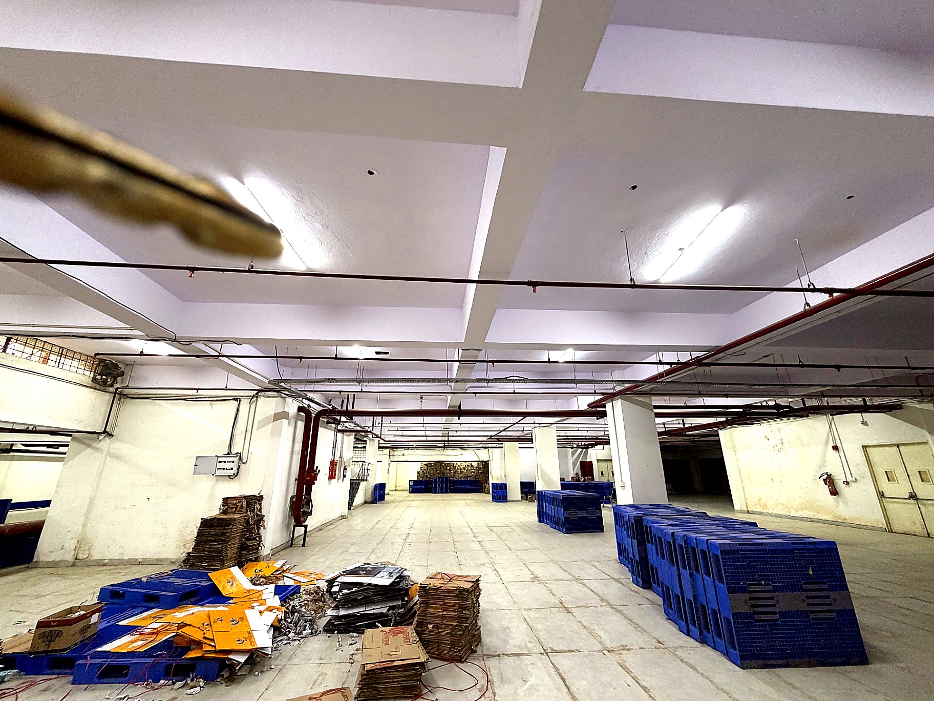 Overhead hydrant piping network across warehouse bays at the Okhla Phase-1 project by Decon Infratech